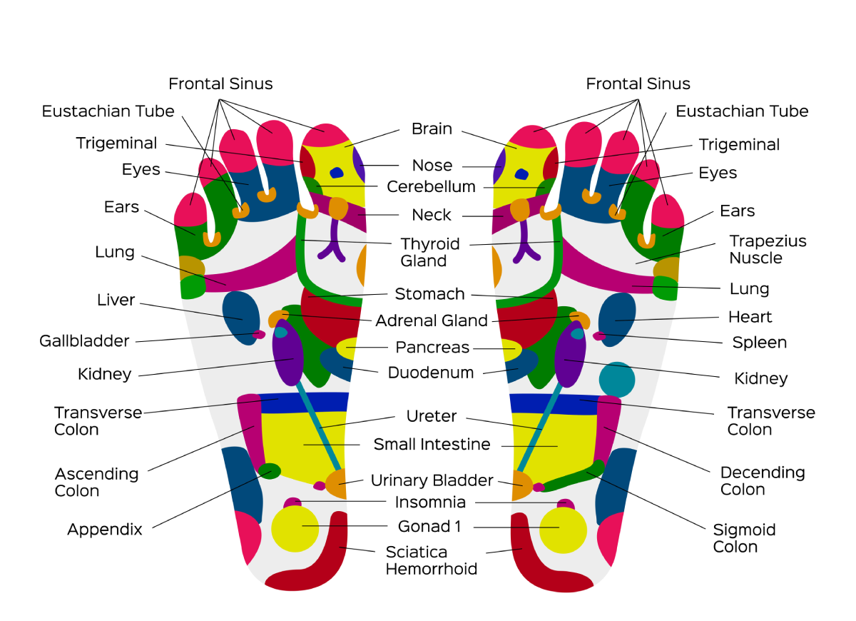 Reflexology | Sun Mountain Spa: Spa Dells